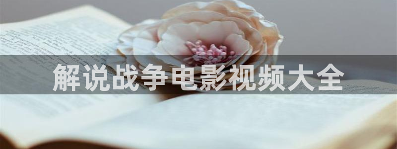 6080新视觉电视剧大全2024