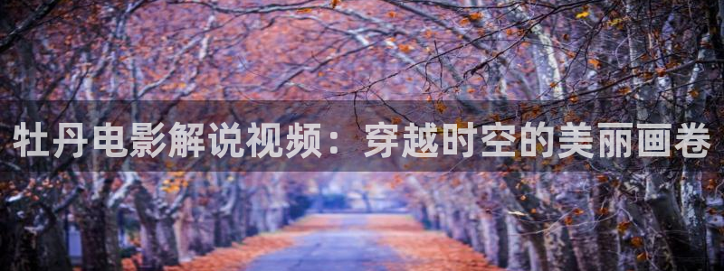 苏州新视觉