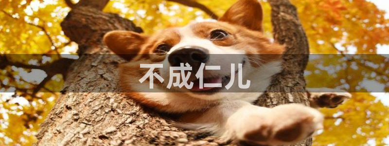 高清新视觉节目单