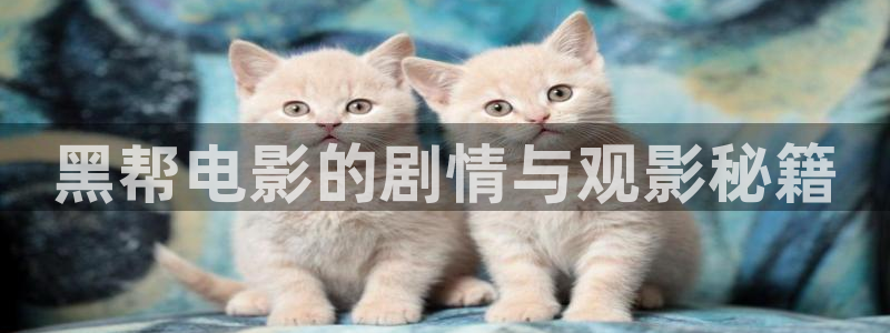 4080新视觉电影网
