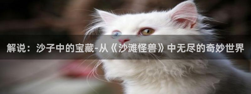 新视觉影视私人官网