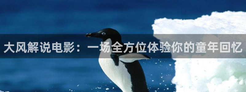 6080新视觉影视剧免费观看