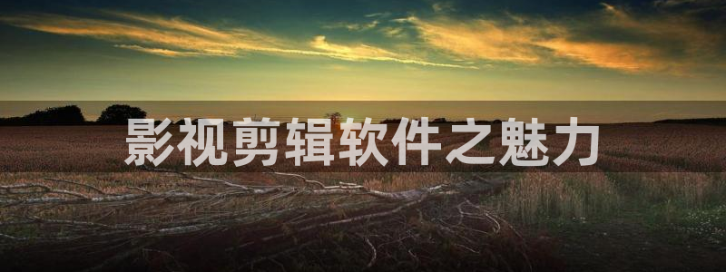 6080新视觉手机版电影全集观看