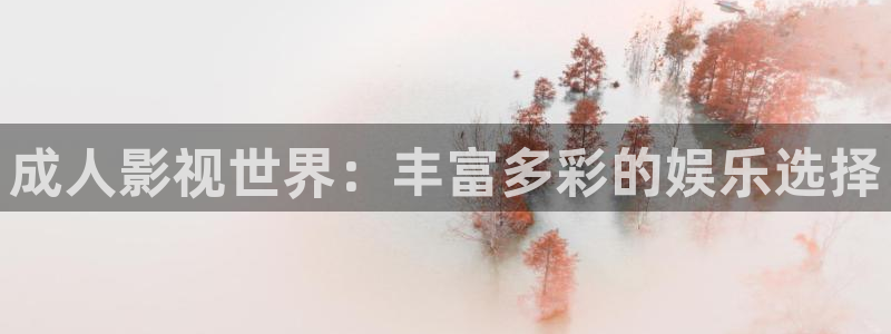 济南新视觉公司