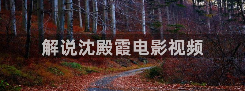 6080新视觉电影电视剧在线观