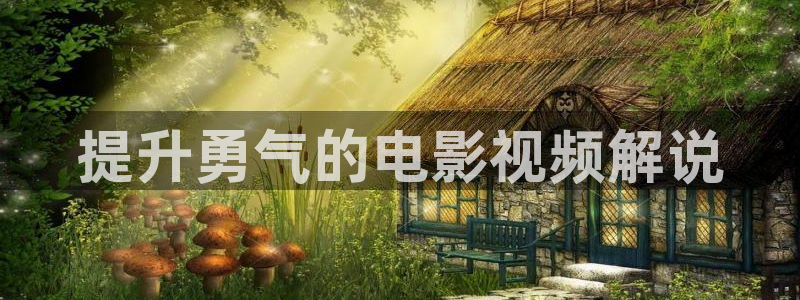 新视觉3