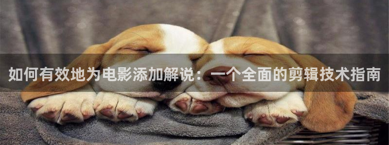 yy 6080新视觉