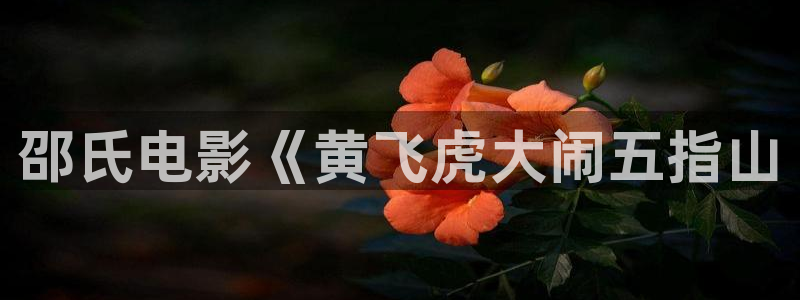 新视觉影院手机版在线观看
