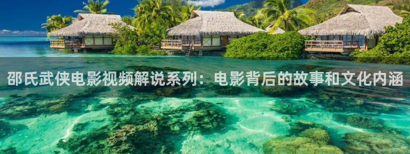 新视觉手机