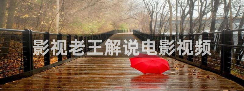 新视觉yy6080伦理影院
