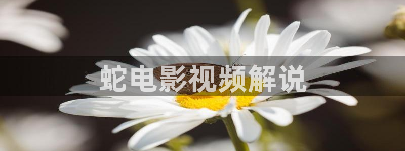 6080新视觉理论电视剧在线观看k34h
