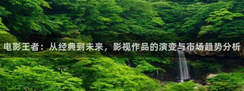 6080新视觉电影理论电影