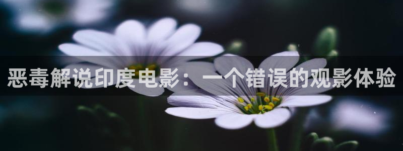 新视觉在线观看电影