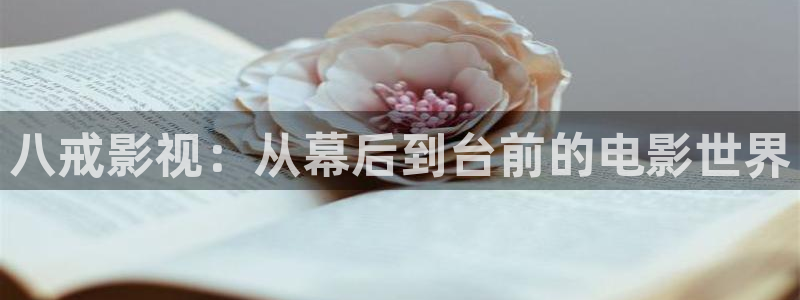 新视觉影院网址多少
