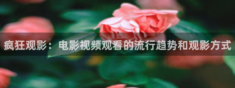 yy6080 新视觉