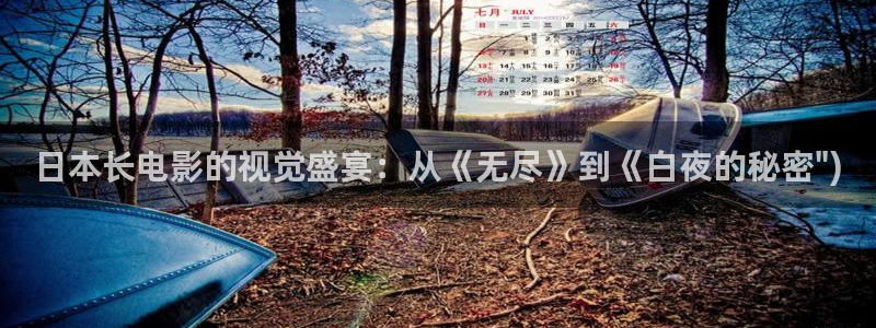 新视觉盛宴