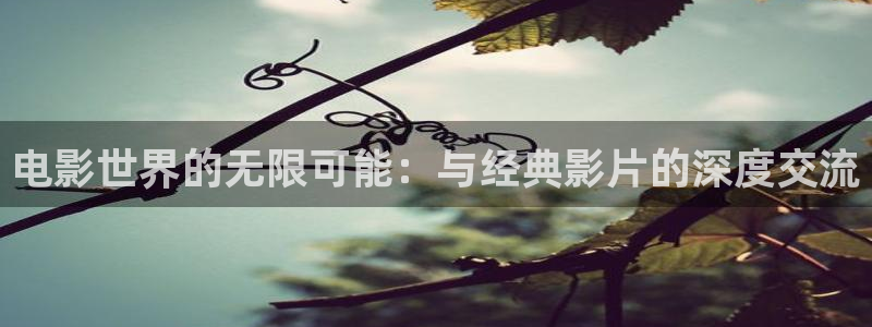 新视觉网站