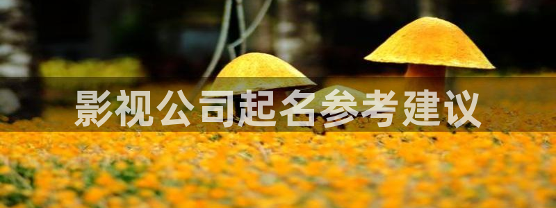 新视觉影院在线观看视频