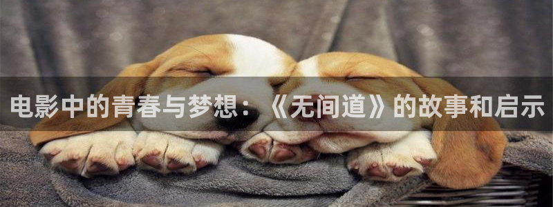 yy6080新视觉手机看片