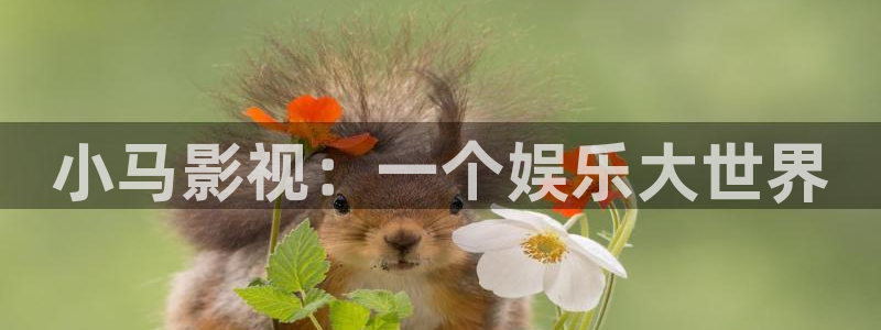 6080新视觉+伦理片
