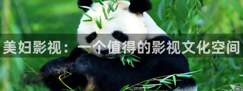 新视觉影院xsjyy6080
