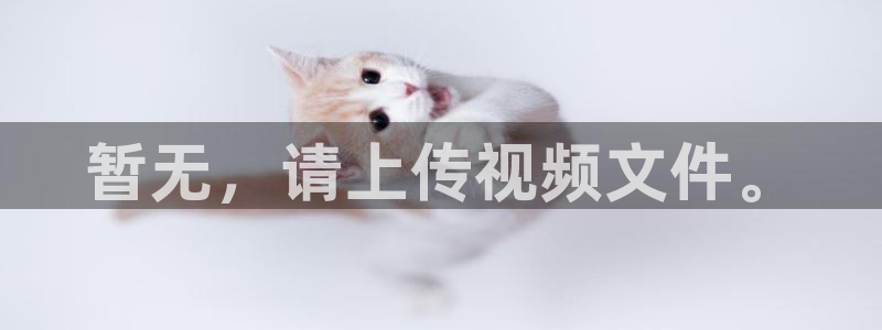 新视觉影院男人的天堂：暂无，请上传视频文件。