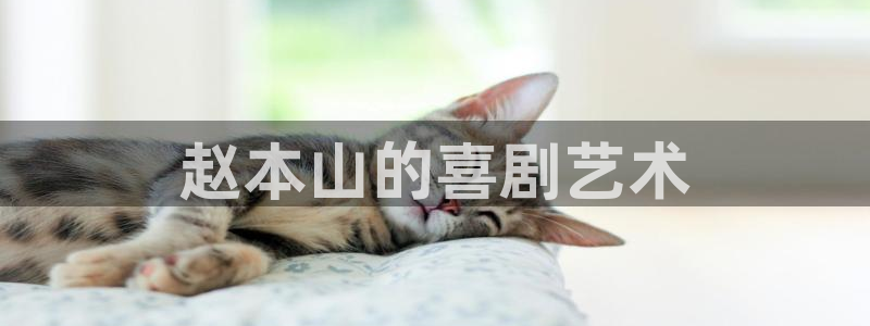 8060新视觉影视热播剧免费观看