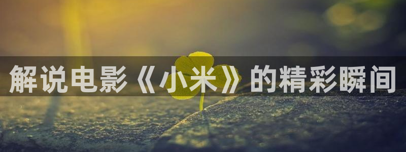 yy6090新视觉电视剧在线观看免费版第二季