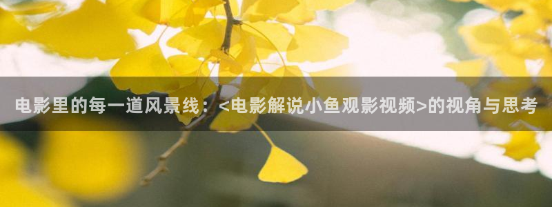 新视觉yy6080理论片